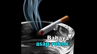Download lagu Ada Jutaan Penyakit Dalam Asap Rokok mp3