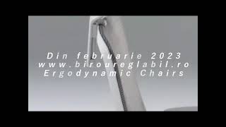 scaun ERGODYNAMIC, scaun terra mob, scaune de birou ergonomice bucuresti, scaune de birou ergonomice, scaun suport lombar Cluj, Bucuretsi