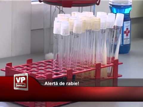 Alertă de rabie!
