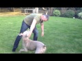 Barney And Me Playing In The Garden Summer 2014