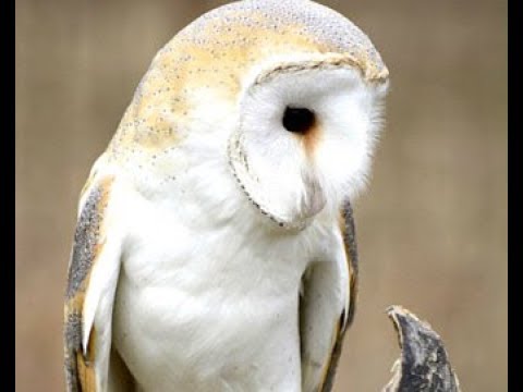 Random reading for May 25, 2019