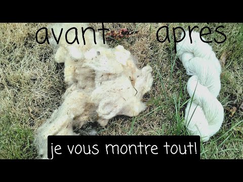 De la toison à  l’écheveau, je vous montre tout!
