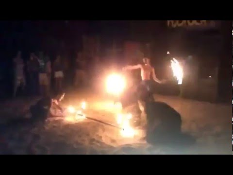 Mahara@Nungara Reveillon 2015/2016