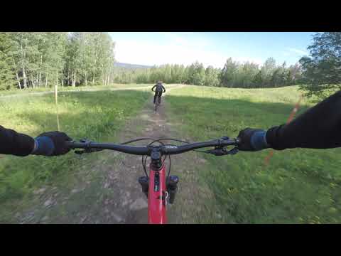 Tahko DH track 7 brown pow (easy rider start) 2020 July