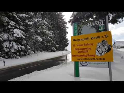 Nach Familiendrama in Hardt: Katzenzunft unter Schock