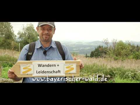 Der Goldsteig: Purer Wandergenuss im Bayerischen Wald