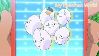 Exeggcute Pokedex Entry Pokemon Journeys