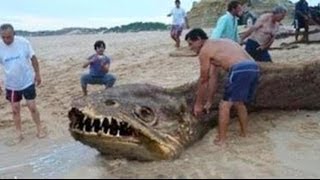 Greatest Monster Mysteries - Paranormal Supernatural Documentary