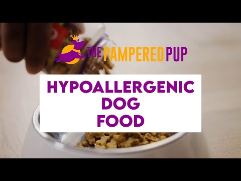 Hypoallergenic Dog Food? What's That?