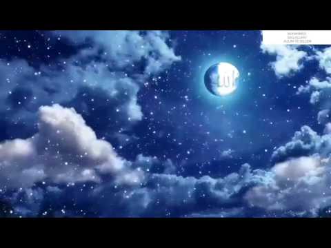 Voliš li Allahovog poslanika Muhammeda sallallahu alejhi ve sellem - Semir Dreic