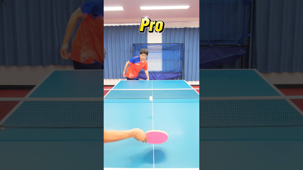 サーブのランク別✅🔥#shorts #卓球 #tabletennis #pingpong #乒乓球