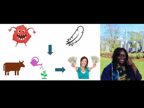 SciComm: ﻿Exploring Feather Degrading Bacteria in Saltmarsh Sparrows