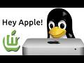 Installing Linux Mint on an old Mac Mini