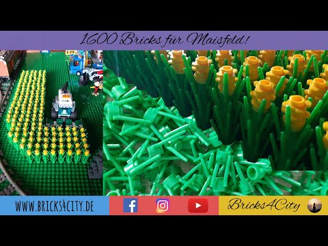 1.600 Bricks für ein Maisfeld😱🌽🌽🌽  | Klemmbaustein-Stadtumbau XXL - Teil 2 | Okt 2021 | Bricks4City