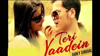 Teri Yaadein | Sherry Singhal | Sad Song 2021