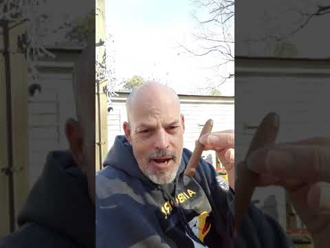 Swisher Sweets Kings v Perfecto