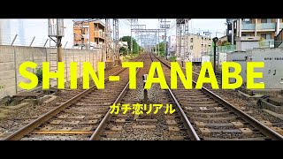 ガチ恋リアル - 「SHIN-TANABE」Music Video
