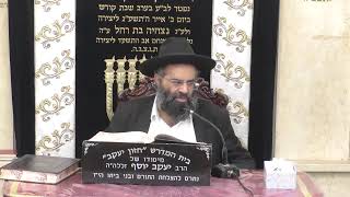 בית המדרש חזון יעקב • יום רביעי כא' חשוון תשפ'ו (בית הכנסת מוסאיוף) - התמונה מוצגת ישירות מתוך אתר האינטרנט יוטיוב. זכויות היוצרים בתמונה שייכות ליוצרה. קישור קרדיט למקור התוכן נמצא בתוך דף הסרטון בית המדרש חזון יעקב • יום רביעי כא' חשוון תשפ'ו (בית הכנסת מוסאיוף) - התמונה מוצגת ישירות מתוך אתר האינטרנט יוטיוב. זכויות היוצרים בתמונה שייכות ליוצרה. קישור קרדיט למקור התוכן נמצא בתוך דף הסרטון