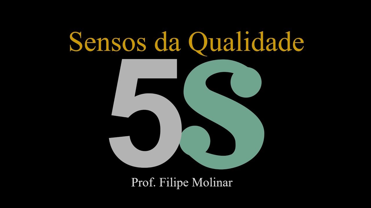 Introduction to 5S (Senses of Quality)