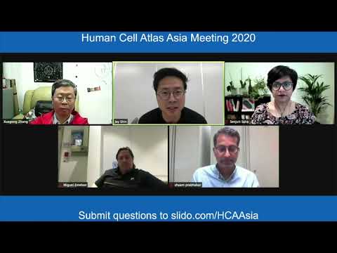 HCA Meeting Asia 2020: Plenary discussion