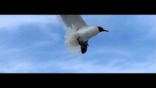 Turkish Music - Yağmur Yağar Taş Üstüne by Brenna MacCrimmon