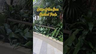 A Stroll Through Central Park on Icon of the Seas #royalcaribbean