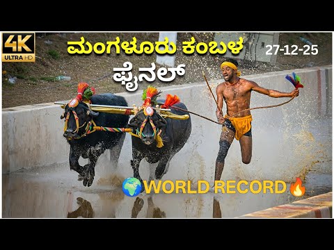 Mangaluru Kambala Finals* 🔥 ಮಂಗಳೂರು ಕಂಬಳ ಫೈನಲ್ 2025 #kambala #kambalaresults #viratkohli 