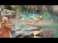 Best Places To See Manatees In Florida Blue Spring State Park Three Sisters Crystal River