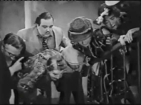 Schauspielerleben: Paul Kemp (Staffel 1 / Folge 12, 2009)