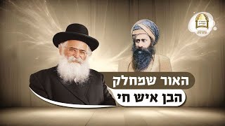 הרב יורם אברג'ל: האור שמחלק הבן איש חי