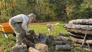 Fall Fun On The Homestead: Potato Harvest, Firewood, And Weekend Adventures!