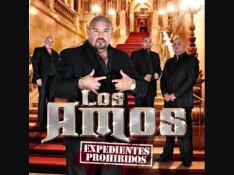 EL grifo Los Amos 2011