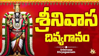 Lord Venkateswara Swamy Telangana Devotinol Songs || Telugu Devotinol Songs || Venkateswara Patalu