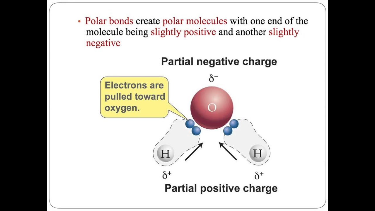Polyatomic Ions Module 9-3