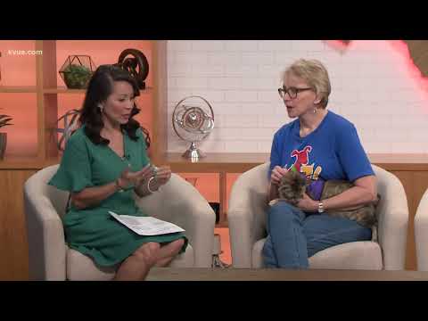 Meet the KVUE Pet of the Week: Zulma