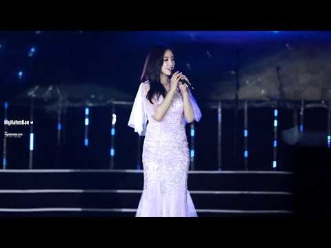 171104 베트남콘서트 굿바이 Goodbye - T-ARA 은정 SOLO EUNJUNG 직캠