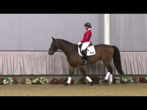 06 Desert Storm Wallach v. Don Kennedy - Dramaturg - Fabelhaft