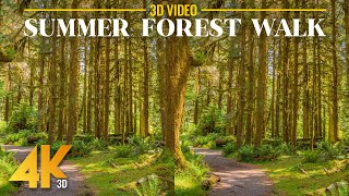 Immersive 3D VR Forest Hike on a Sunny Day 4K | Echo Peak Trail with Footsteps & Nature Sounds