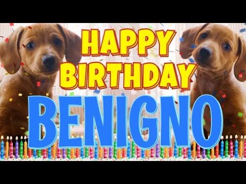 Happy Birthday Benigno! ( Funny Talking Dogs ) What Is Free On My Birthday
