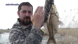 Карася конечно жалко но рыбалка