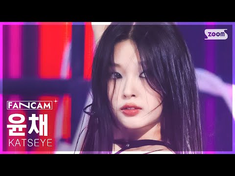 윤채