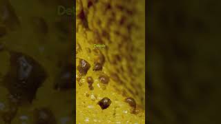 Burning a sponge  #asmr #shortfeed