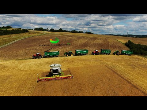 Getreideernte 2020  | Harvest | CLAAS LEXION 770 | LU Heller