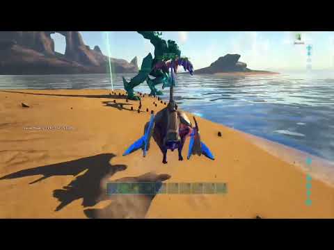 Defending my BEAR 4 times |BBX FIBERCRAFT | S.I.L.E.N.C.E | LOBO OP