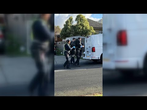 No more monkey business: Australian police spot stolen gorilla statue from helicopter | AFP