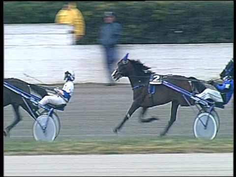 Trotto 17/01/2017 - 2ª corsa