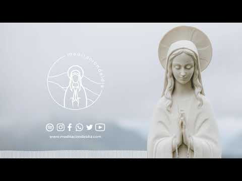 Meditación del Día | Martes 3 de Marzo de 2026. Alinear el corazón.