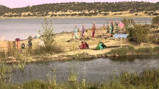Boom Festival 2014 Official Webdoc #5: Love