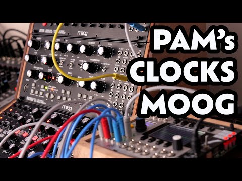 Pam’s Pro Workout + Moog Sound Studio