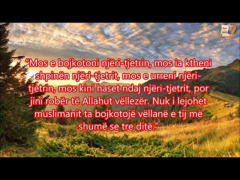 Këshilla e shejkh Albanit për selefijt, që mos t’i shkëpusin lidhjet me njëri tjetrin...